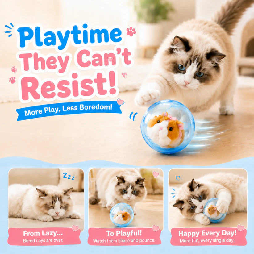Junazilo® Self-Rolling Interactive Cat Ball