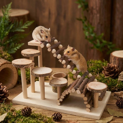 The Alpine Canopy Multi-Tier Natural Wood Climbing Forest
