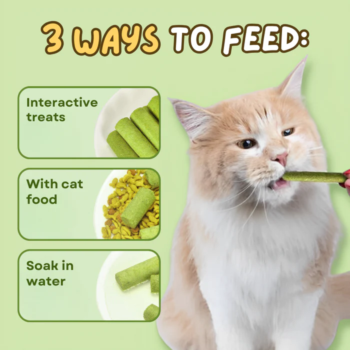 Junazilo® Cat Grass Teething Sticks