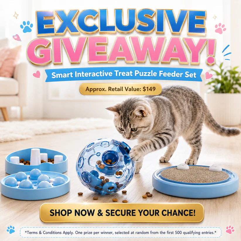 Junazilo® Self-Rolling Interactive Cat Ball