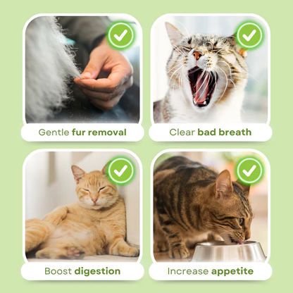Junazilo® Cat Grass Teething Sticks