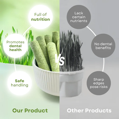 Junazilo® Cat Grass Teething Sticks