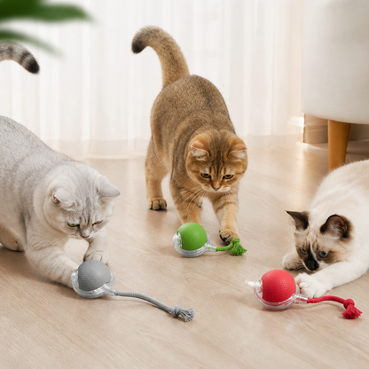 Junazilo® Interactive Play Ball With Tail For Cats
