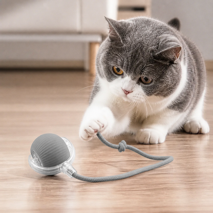 Junazilo® Interactive Play Ball With Tail For Cats