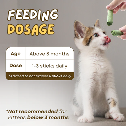 Junazilo® Cat Grass Teething Sticks