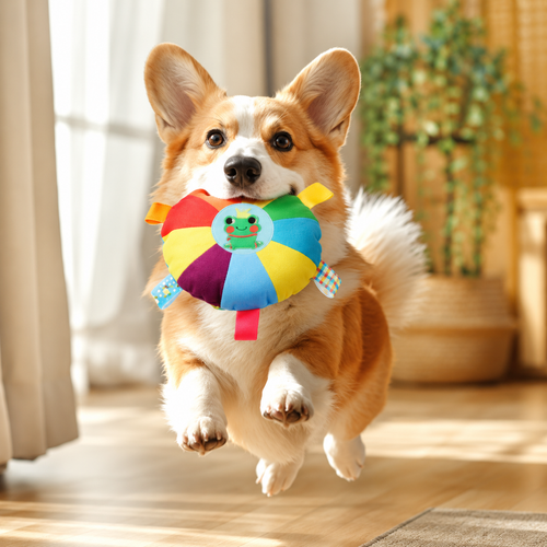 PawJoy Rainbow Tug & Toss Dog Disc